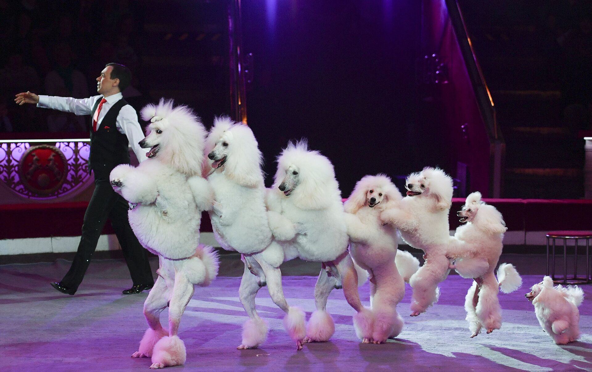 Музыка Победы