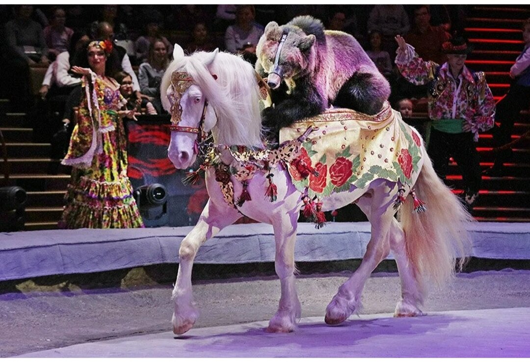 Музыка Победы